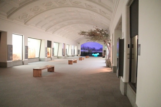 AfricanHall.jpg