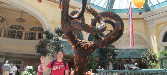 BellagioConservatory.png