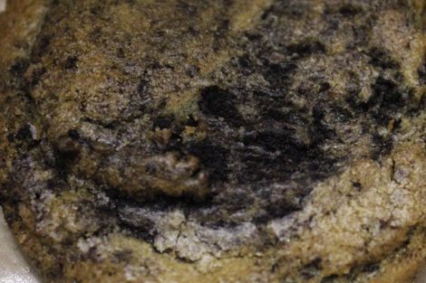 CookiesNCreamCloseup.png