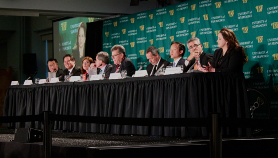 MayoralPanel.png