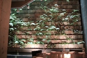 MossRoomWall.jpg