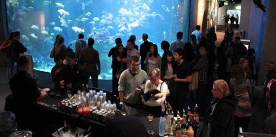 NightLifeAquariumBar.png
