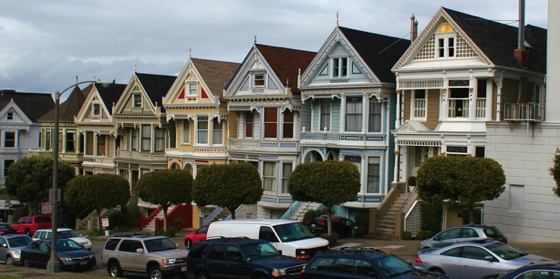 PaintedLadies.png