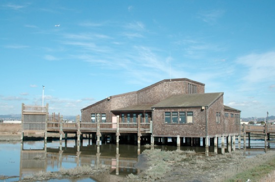 ShorelineCenter.tiff