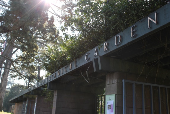 botanicalgarden.jpg