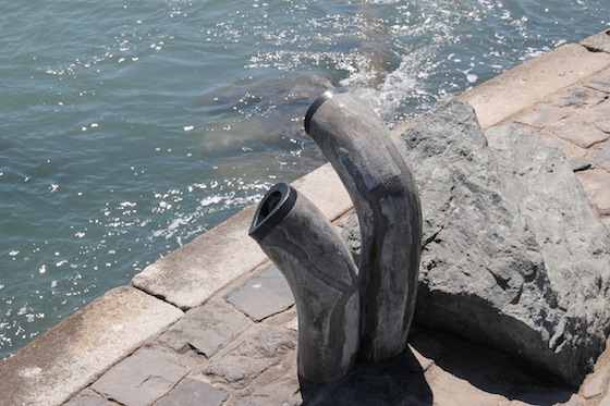 IMG_2483-1 (dragged)